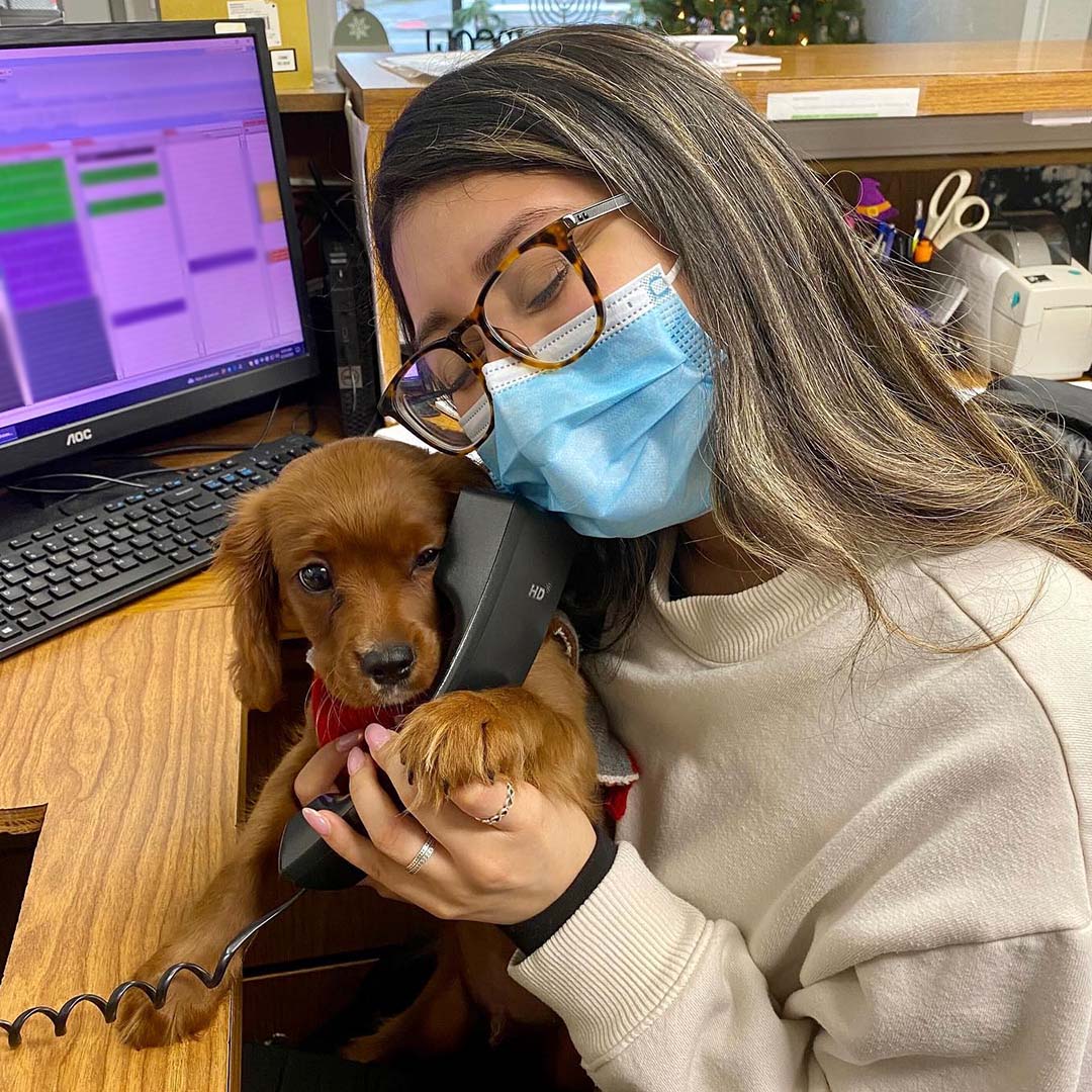 Contact Our Vets Arlington Dog and Cat Hospital