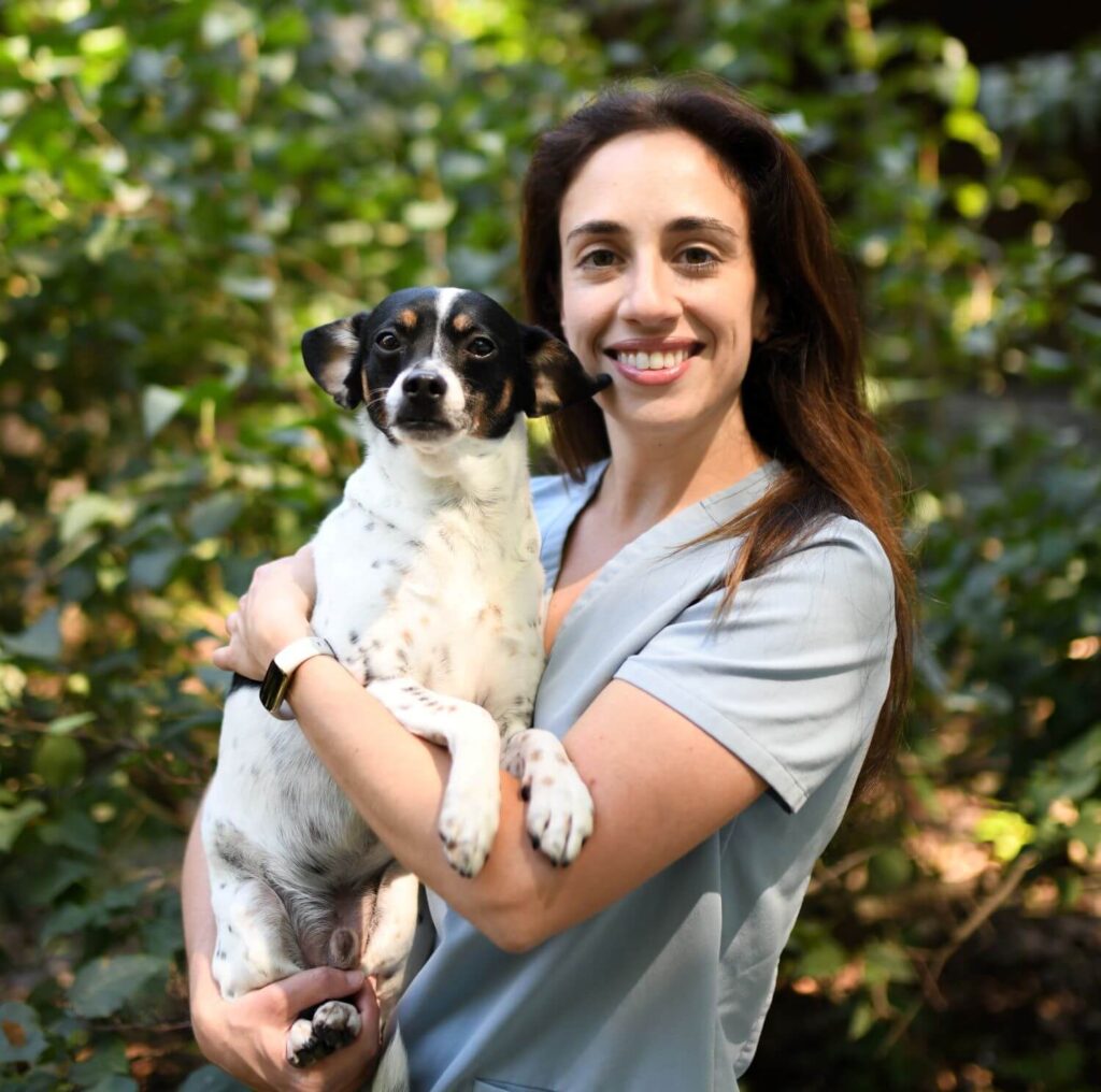Our Veterinarians in Kearny, NJ | Arlington Dog and Cat Hospital