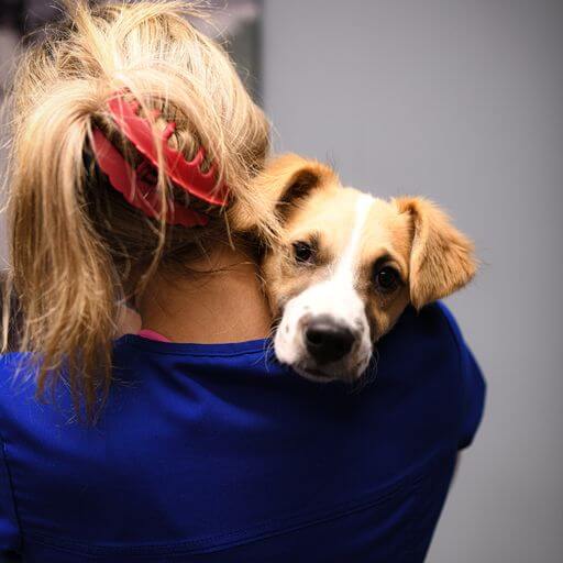 woman with blonde hair and blue scrubs holding a dog with the dog's head over her shoulder