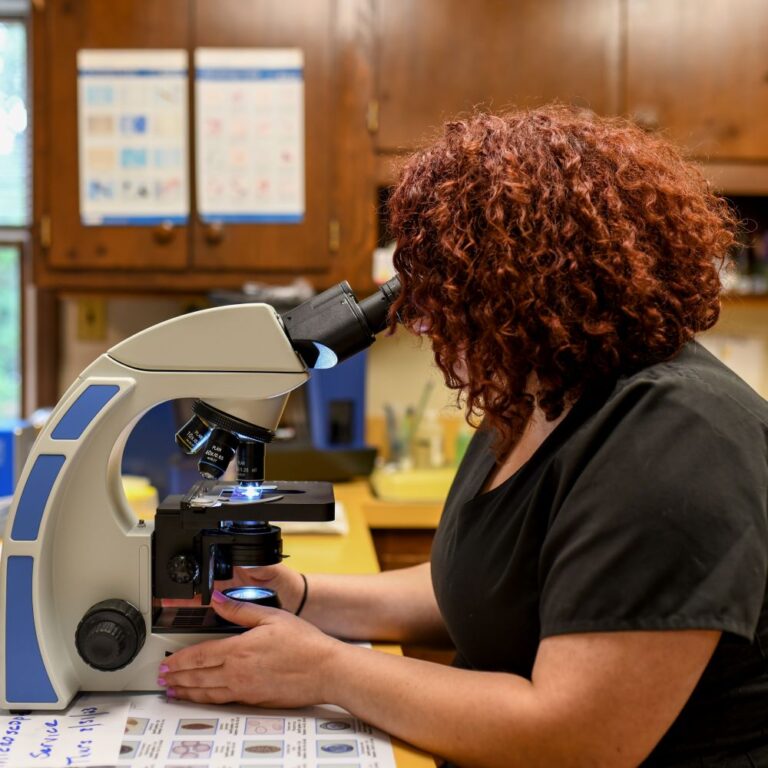 Cat and Dog Diagnostics in Kearny, NJ Arlington Dog and Cat Hospital